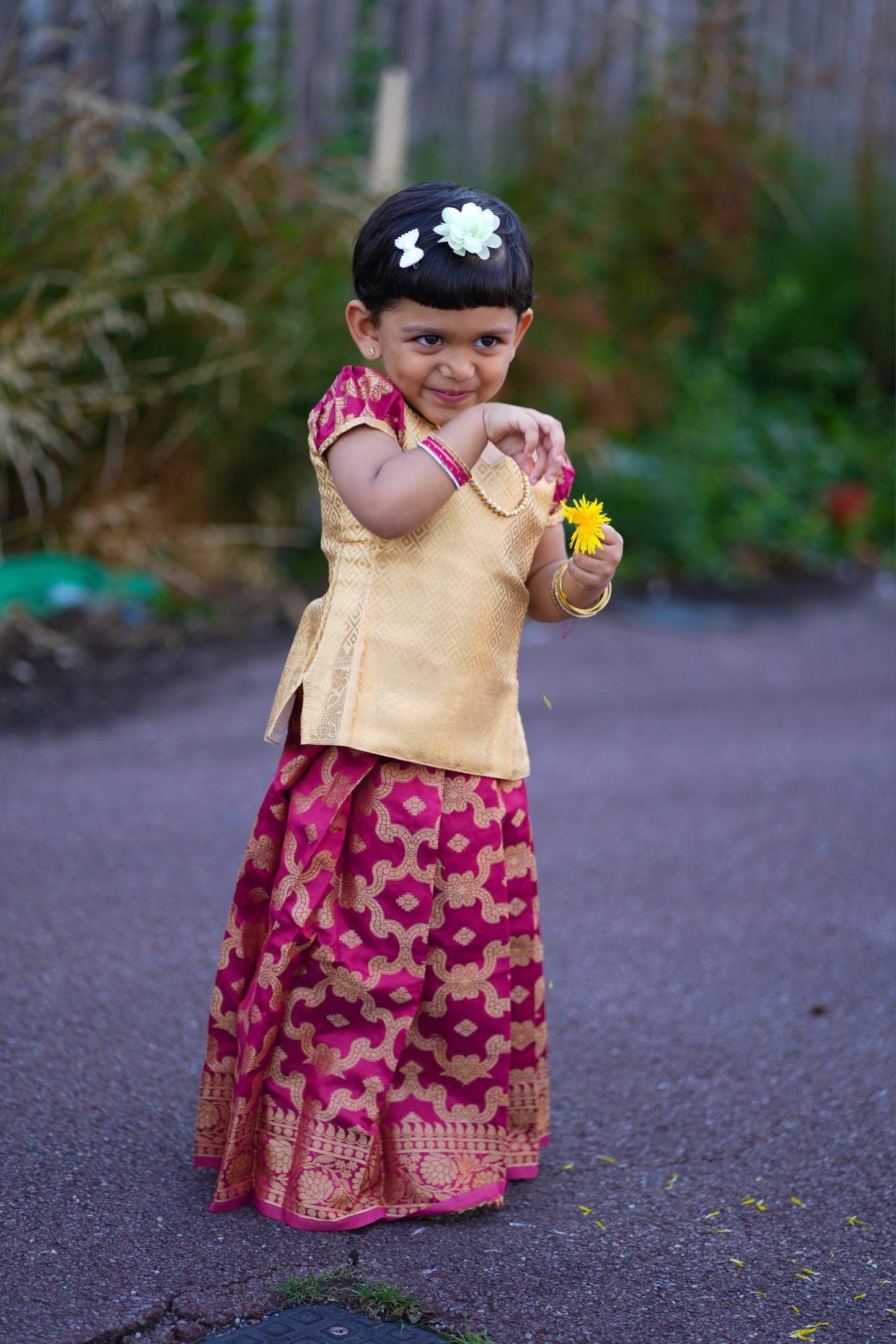 Kancheepuram silk pattu pavada in golden and maroon colour ( KCW103)